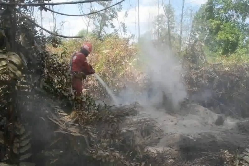 Riau tetapkan status siaga darurat karhutla