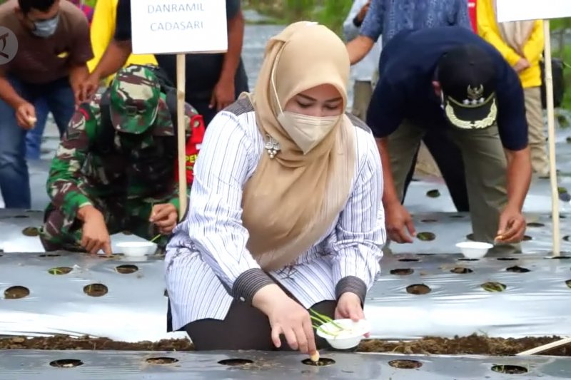 Menuju Pandeglang menjadi sentra bawang putih