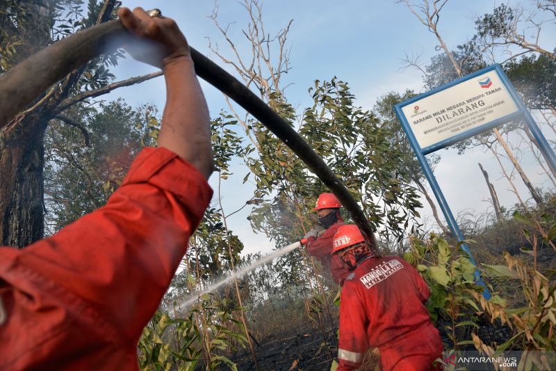 Chevron bantah hutan lindung perusahaan di Riau terbakar