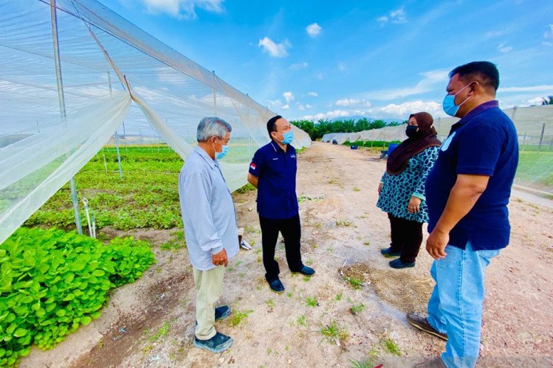 KJRI Johor Bahru beri layanan di ladang sayur Bukit Gambir