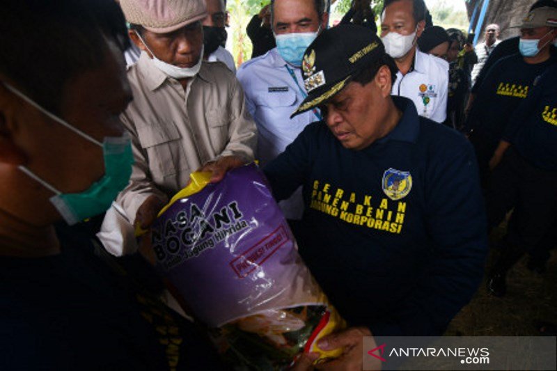 Pengembangan petani produsen benih tanaman di Donggala