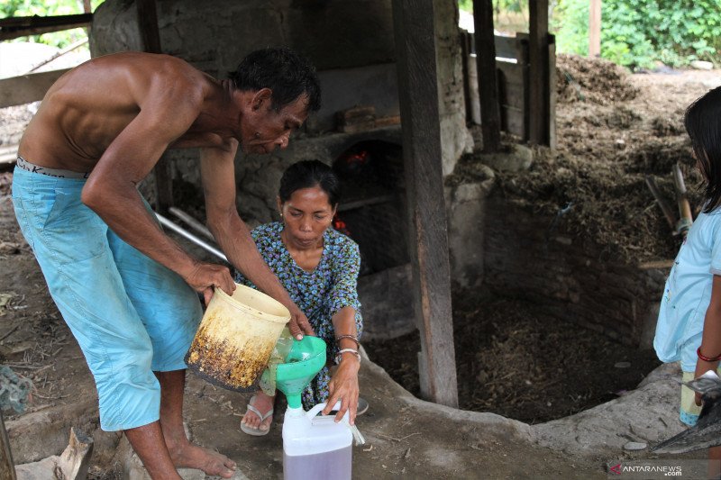 PRODUKSI MENINGKAT HARGA MINYAK NILAM TURUN