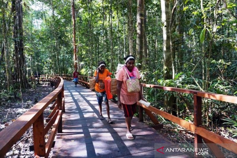 Wisata Alam Pengamatan Burung Di Sorong