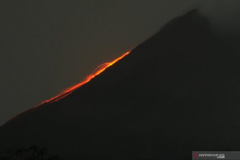Gunung Merapi meluncurkan guguran lava pijar sejauh satu km