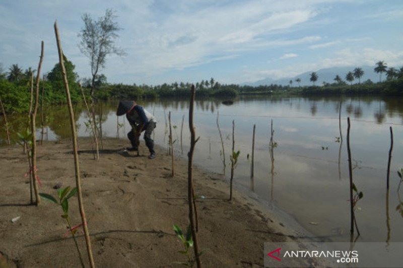 Rehabilitasi Bekas Penambangan Pasir