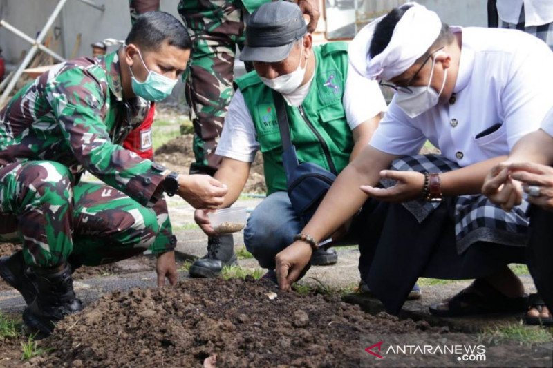 Bupati Tabanan perkenalkan sorgum kepada petani