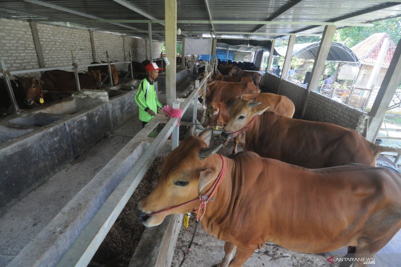 CIPS: Indonesia-Australia bisa menjadi pemain besar F&B tingkat global