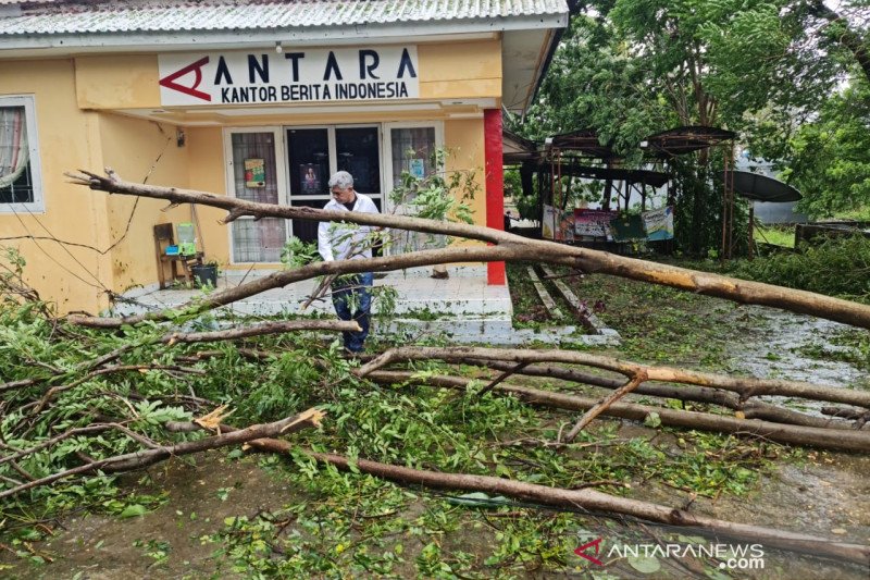 Sejumlah ruas jalan di Kota Kupang tertutup pohon tumbang