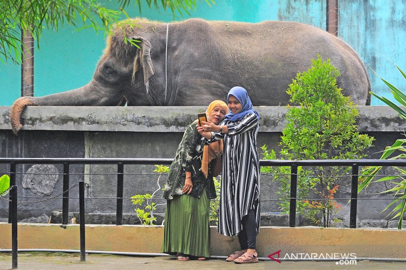 Pemindahan pengelolaan kebun binatang Jambi