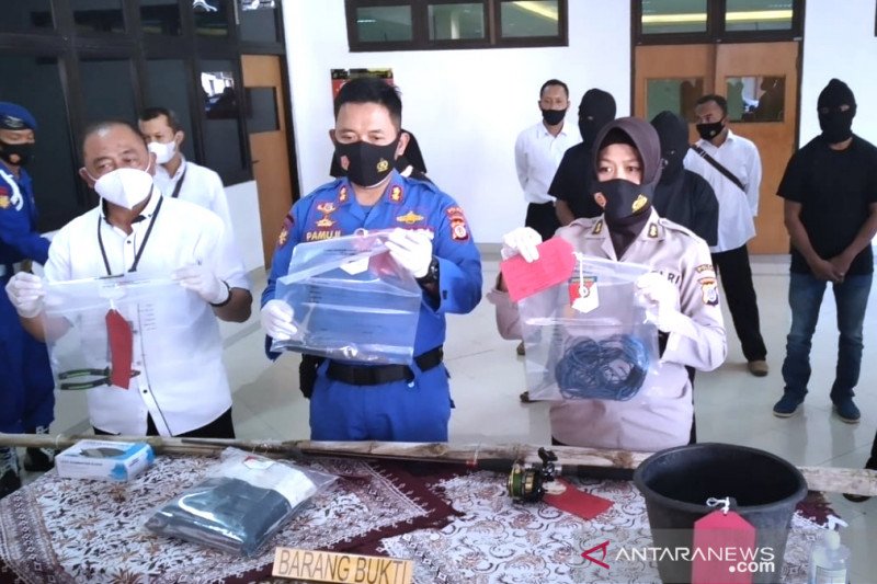 Polda DIY tetapkan tujuh tesangka penangkapan penyu lekang