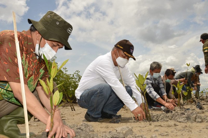 BRGM gandeng pemda dan LSM sinergi rehabilitasi mangrove