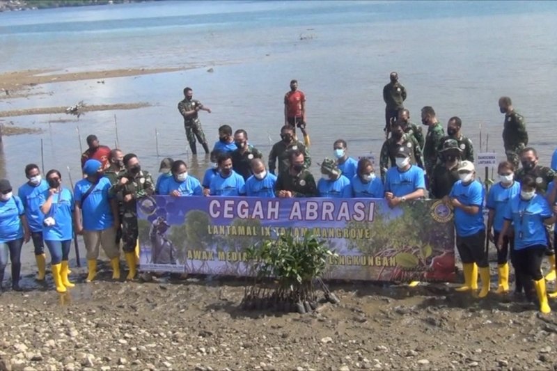 Lantamal IX Ambon tanam puluhan mangrove di Teluk Ambon