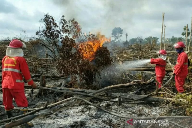 Delapan kabupaten di Sumsel menyatakan siaga karhutla