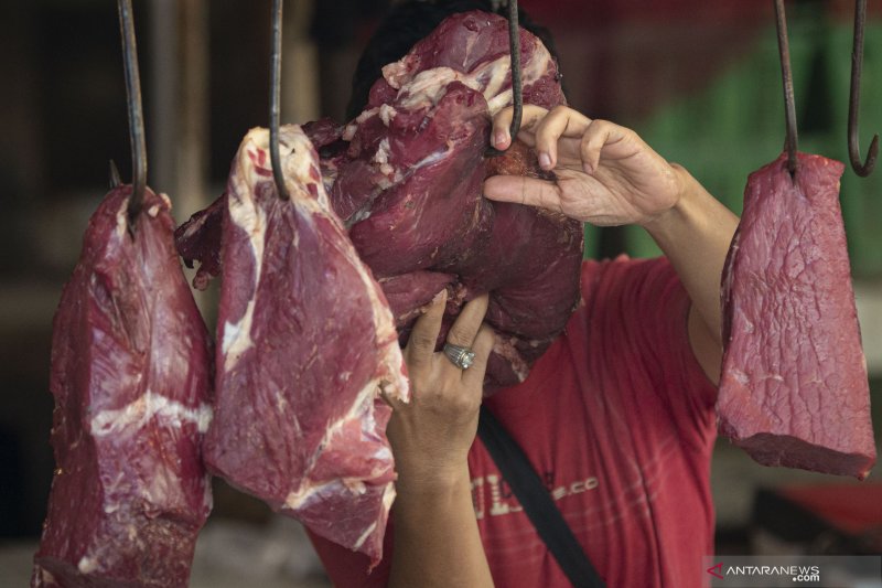 Daging sapi has naik jadi Rp135.348 per kg di Jakarta