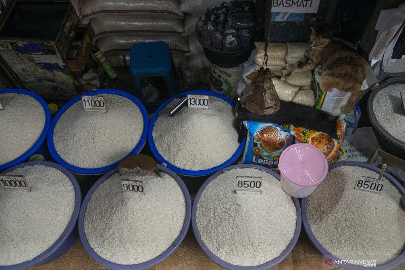 Stok beras di gudang Bulog dan Pasar Induk Cipinang aman tercukupi