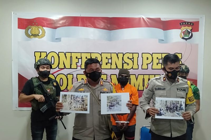 Satgas Nemangkawi tangkap MT anggota KKB Guspi Waker
