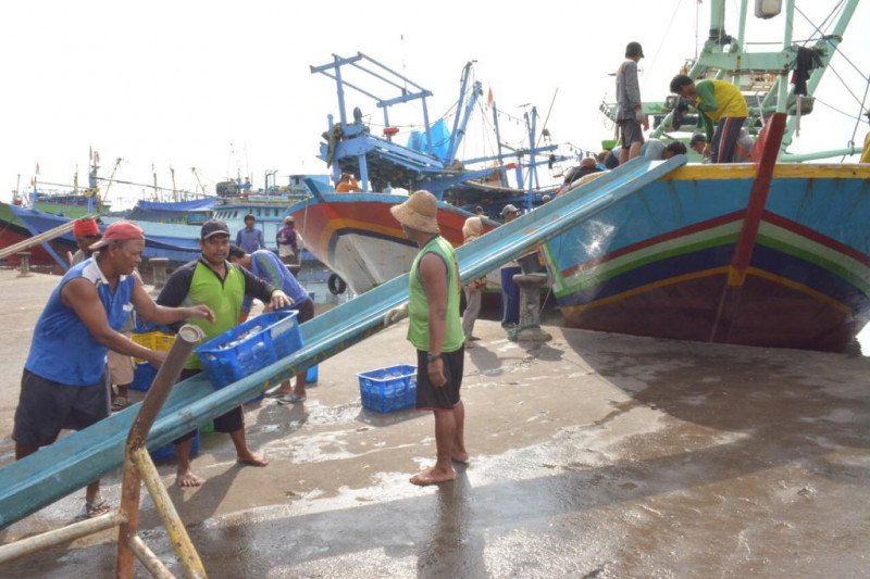 KKP: Pembangunan Pelabuhan Perikanan Pekalongan tanggulangi banjir rob