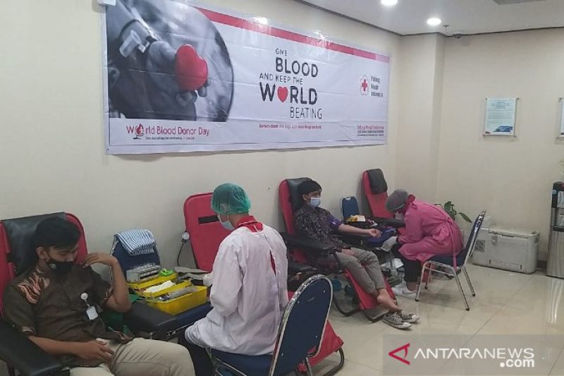 PT Pertamina Papua targetkan 300 kantong darah dari kegiatan donor