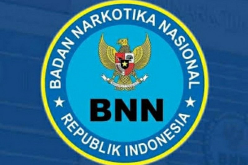 BNN: Pengguna narkotika memerlukan pengobatan