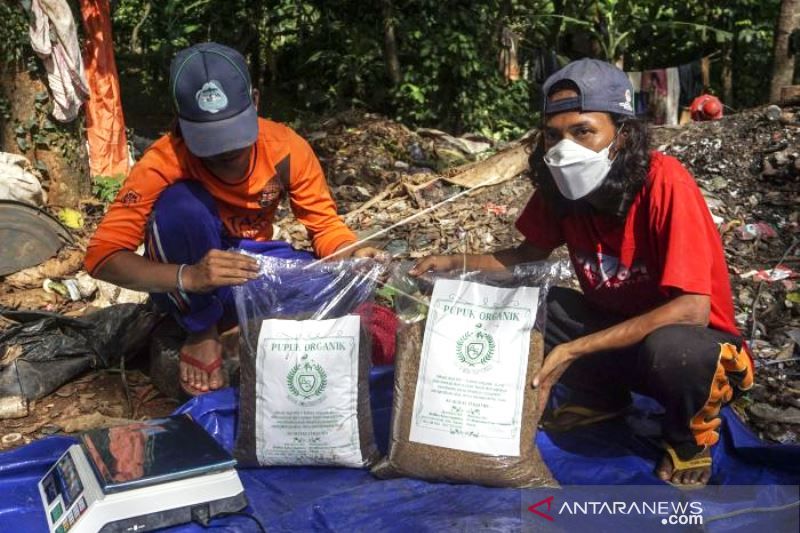 Produksi Pupuk Kompos Organik