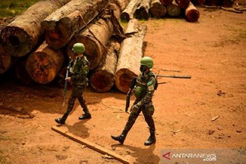 Ribuan pegawai pemberantas pembalakan liar Brazil tuntut kenaikan upah