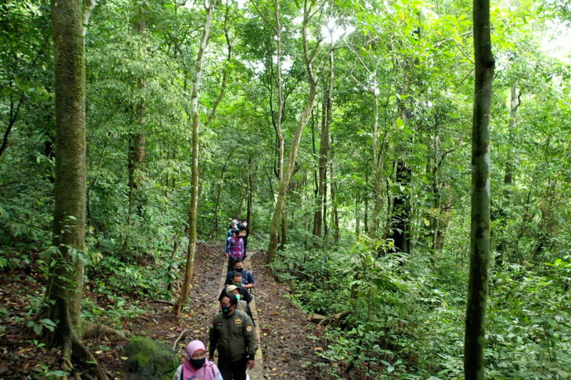 Hutan simpan kebaikan - Bagian 2