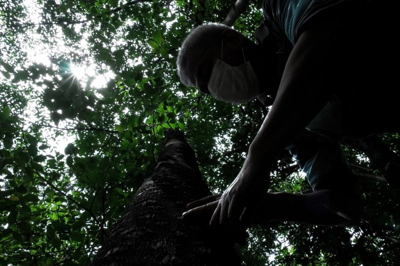Hutan simpan kebaikan - Bagian 3