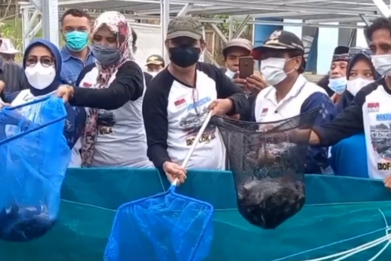 Kementerian KP implementasikan ekonomi biru dalam UU Ciptaker