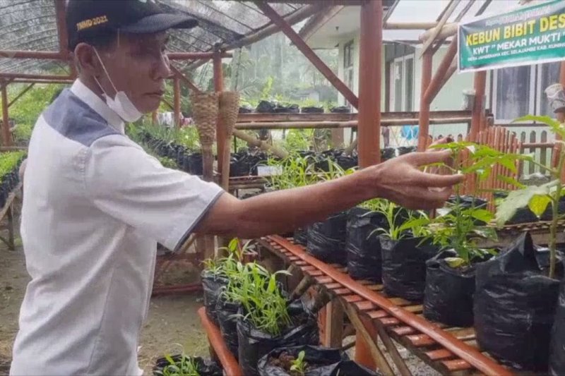 Cara warga Kuningan wujudkan kemandirian dan ketahanan pangan