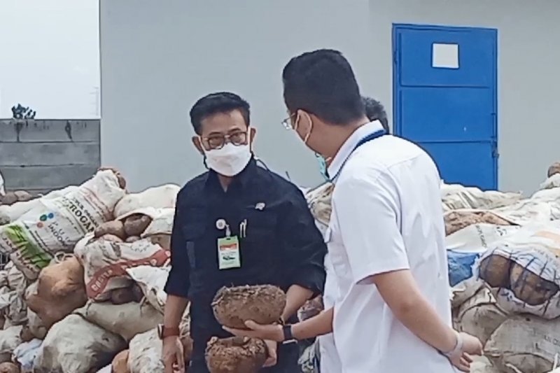 Industri umbi Porang jadi prioritas komoditas pertanian nasional