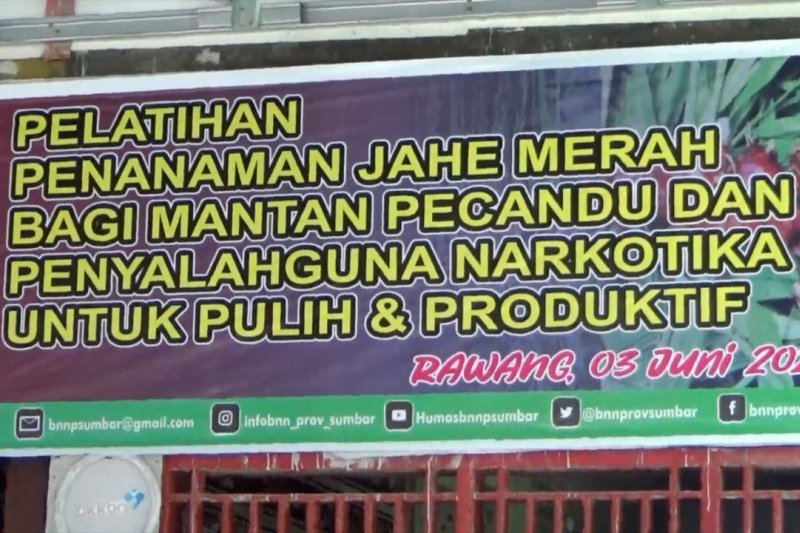 Pelatihan menanam jahe merah bagi mantan penyalah guna narkoba