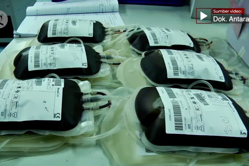 Masyarakat tidak boleh ragu donorkan darah saat pandemi COVID-19