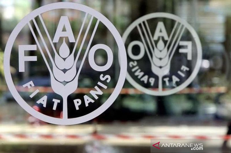 FAO apresiasi pertanian dan ketahanan pangan Indonesia selama pandemi