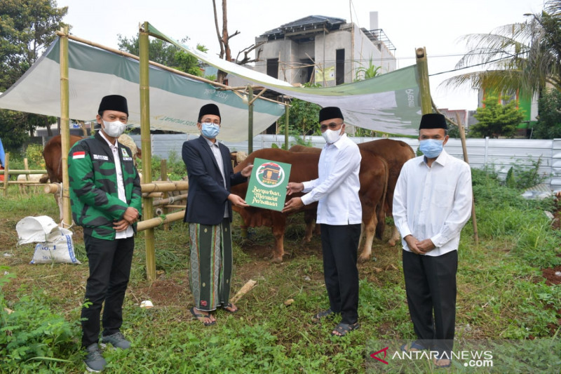 PPP bagikan hewan kurban sampai ke pelosok Indonesia