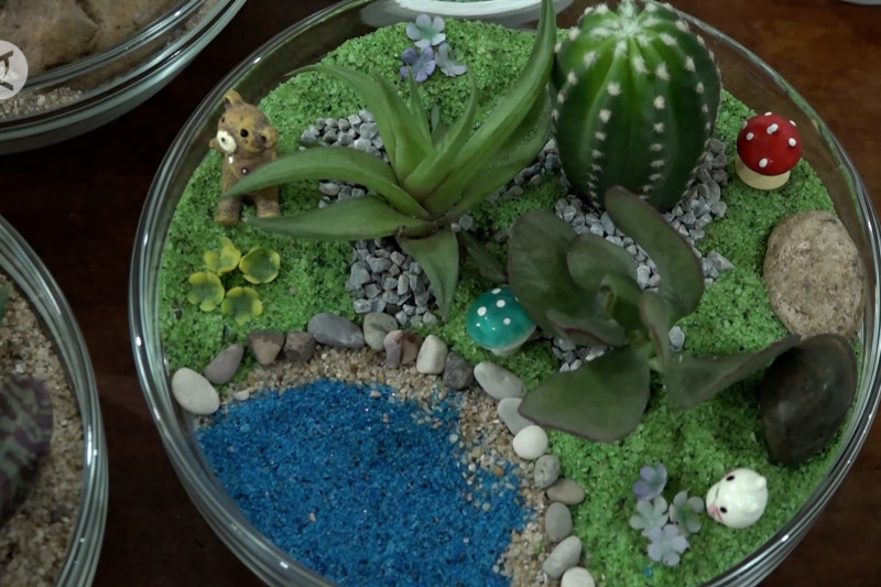 Geliatkan ekonomi mikro dengan membuat terrarium