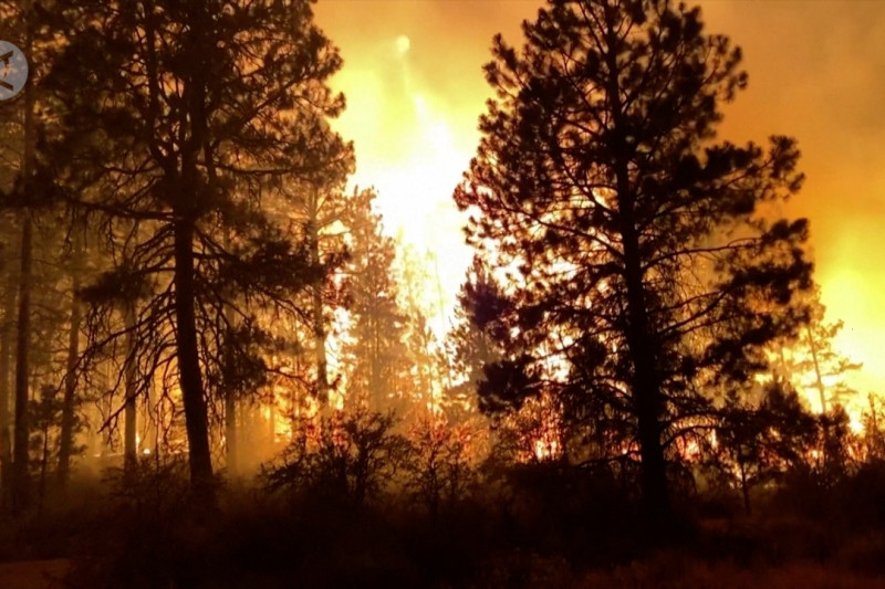 Kebakaran hutan Oregon memaksa ratusan penduduk mengungsi