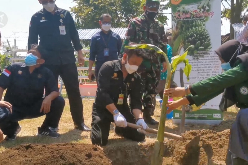Mentan kunjungi kawasan pertanian terintegrasi di Boyolali