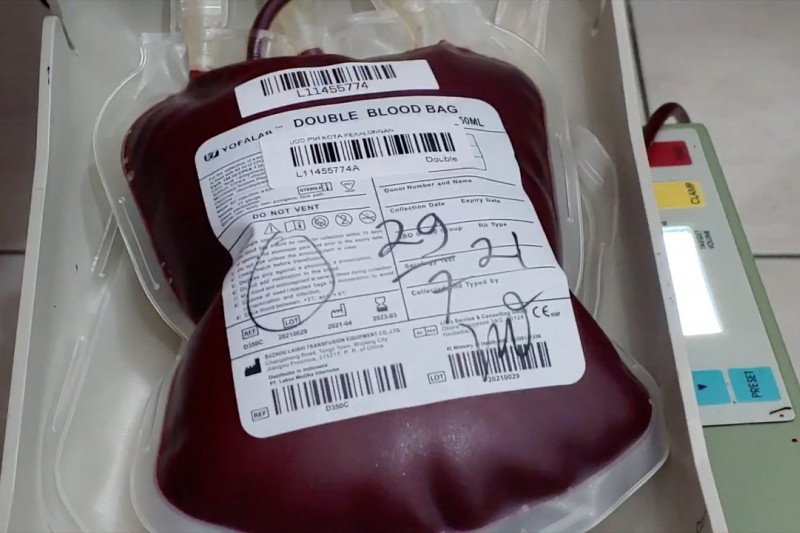 Pekalongan kini layani donor plasma konvalesen