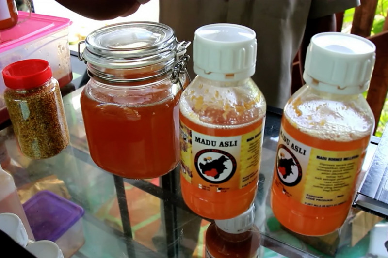 Peternak lebah kebanjiran pesanan madu saat pandemi