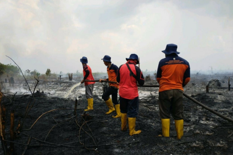 KPH: Kebakaran lahan di Sambas akibat pembukaan lahan dengan membakar