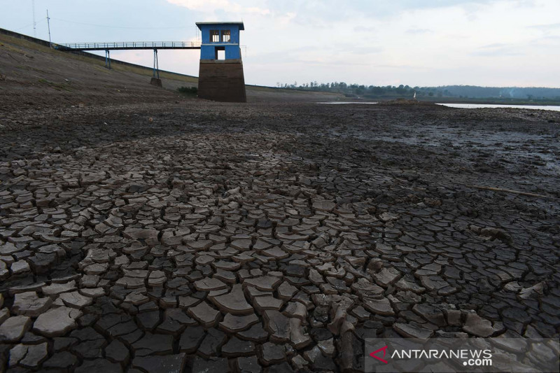 Waduk Dawuhan Madiun mulai mengering
