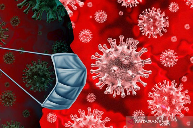 Wabah virus Lassa di Nigeria sebabkan 156 orang meninggal