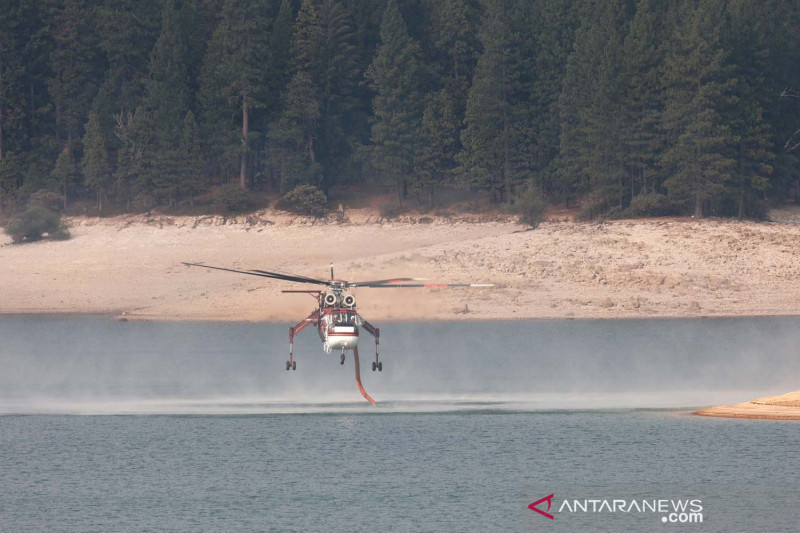 Helikopter Skycrane mengisi air saat operasi pemadaman kebakaran hutan di California