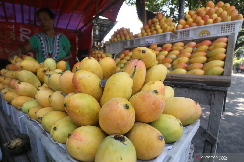 7-buah-kaya-antioksidan-untuk-jaga-kesehatan-dan-cegah-penyakit-kronis