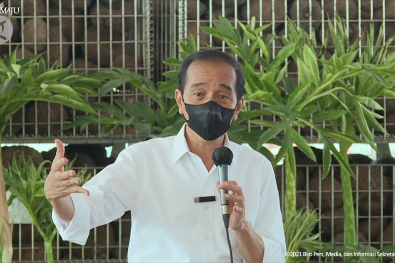 Saat Presiden berdialog soal keuntungan dengan petani porang