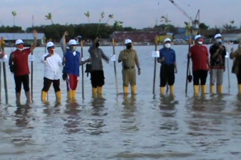 Sambut HUT ke-76 Kemerdekaan RI, Pelindo IV tanam mangrove