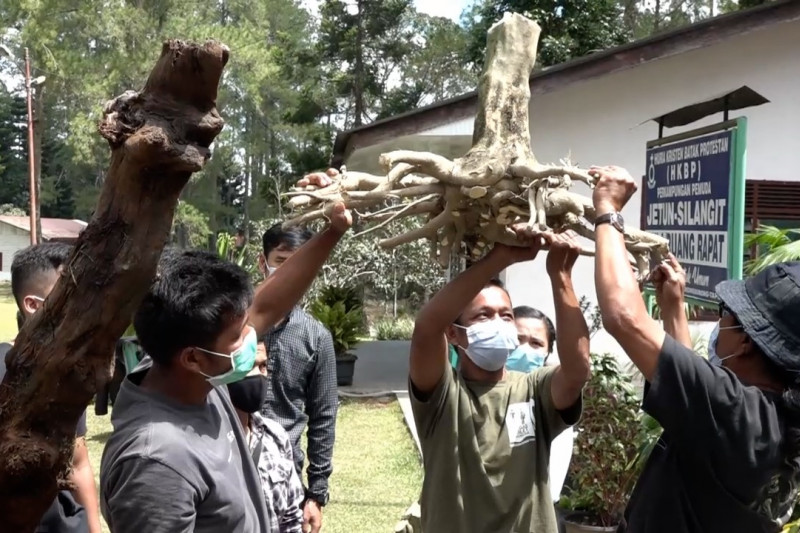 BPODT latih milenial daur ulang limbah kayu
