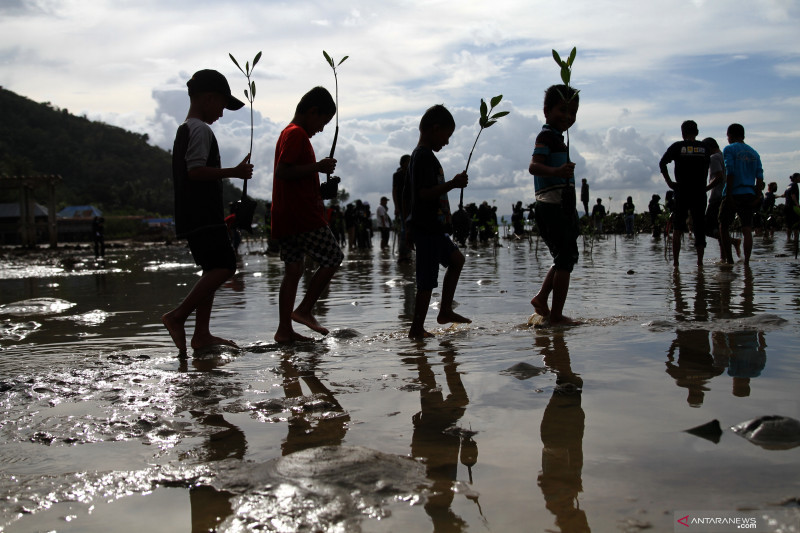 Tanam pohon mangrove untuk cegah abrasi di pesisir pantai