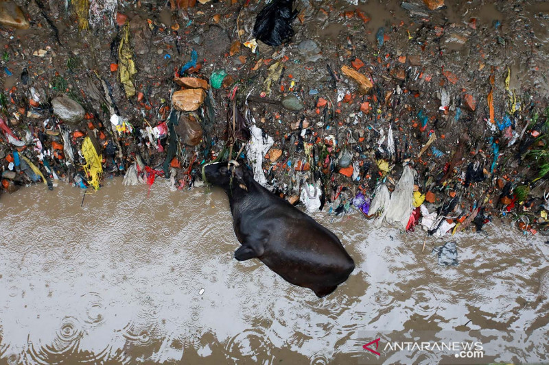 Sungai Bishnumati meluap setelah hujan deras di Kathmandu