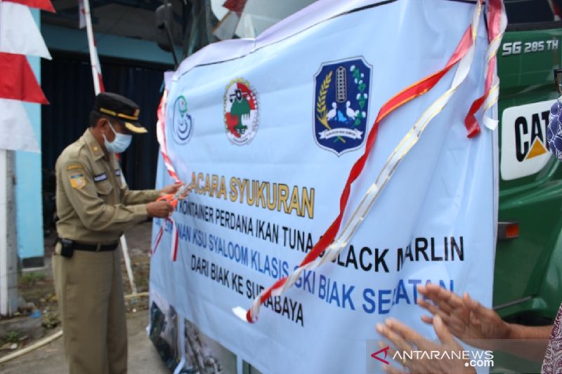 Biak Numfor kirim 13 ton ikan tuna ke Surabaya